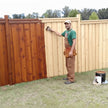 Fence Staining Services