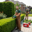 Hedge & Shrub Pruning
