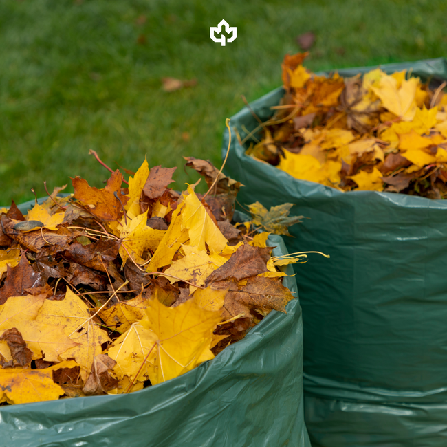 Yard Waste Removal Services