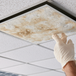 Commercial Ceiling Tile Replacement