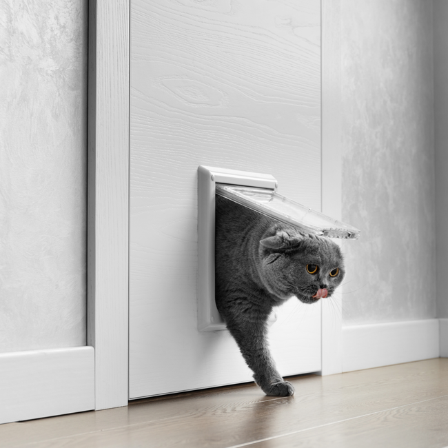 Pet Door Installation