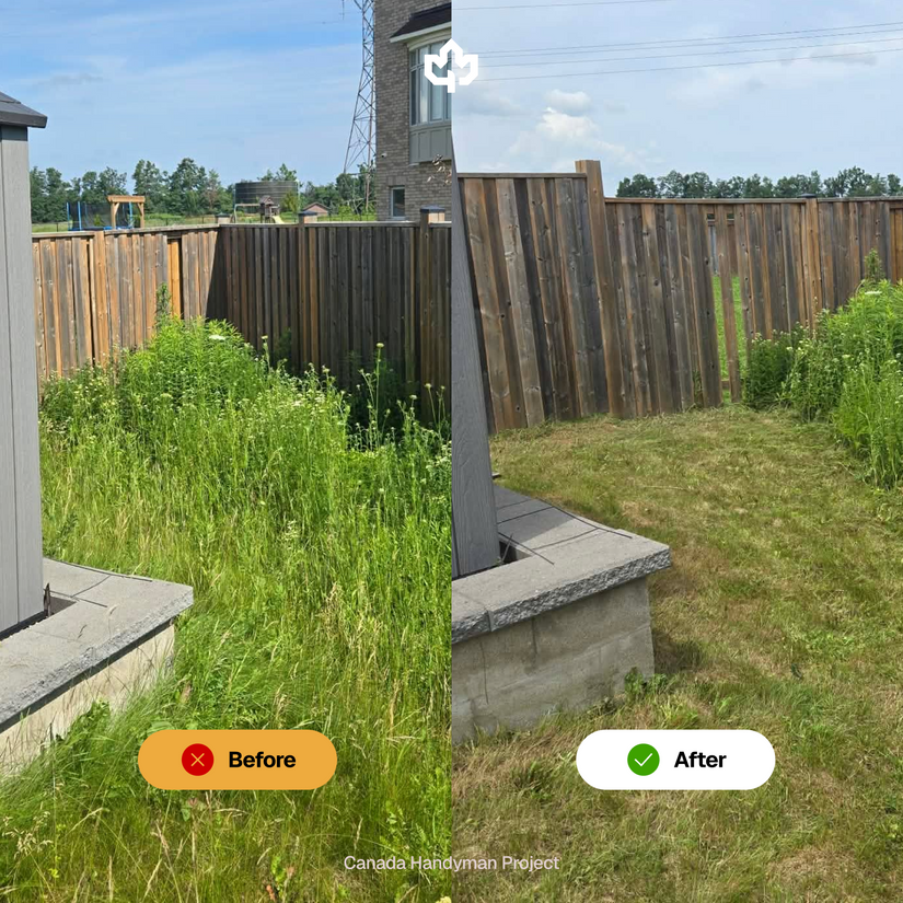 One-Time Lawn Mowing & Trimming