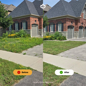 One-Time Lawn Mowing & Trimming