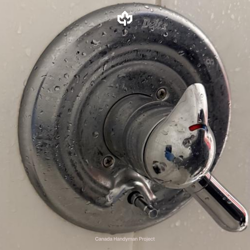 Remplacement de la cartouche de baignoire/douche