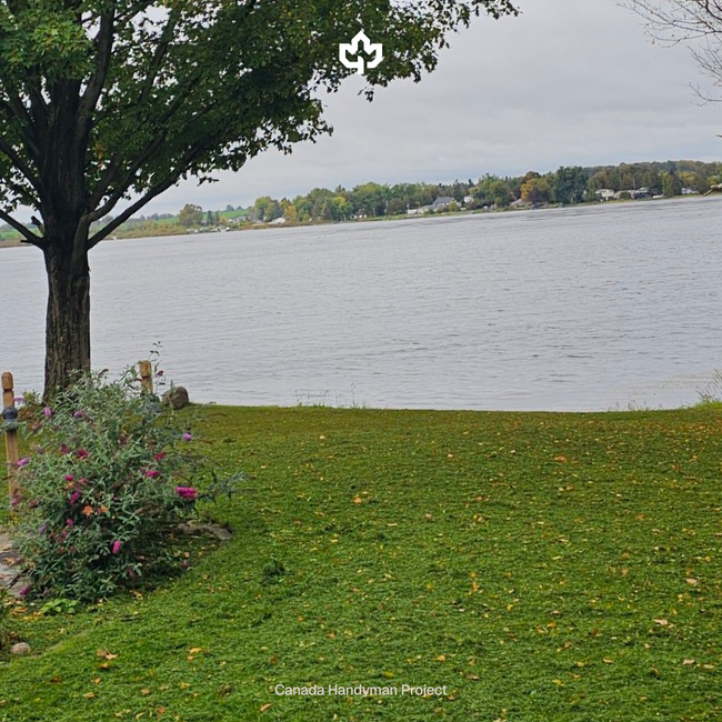 Port Perry Ontario Grass Cutting Services Canada Handyman