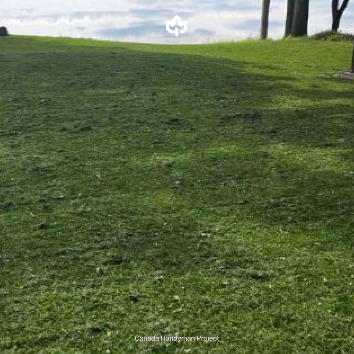 Seasonal Lawn Mowing & Trimming (May 1st - October 1st)