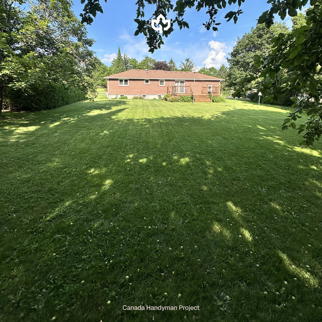 Seagrave Ontario Grass Cutting Service Canada Handyman